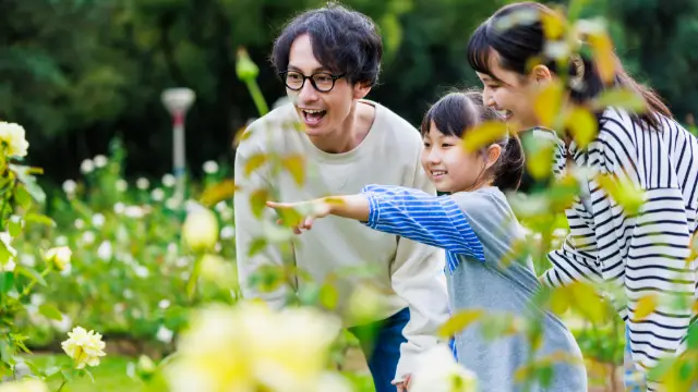 扶養家族受診推進