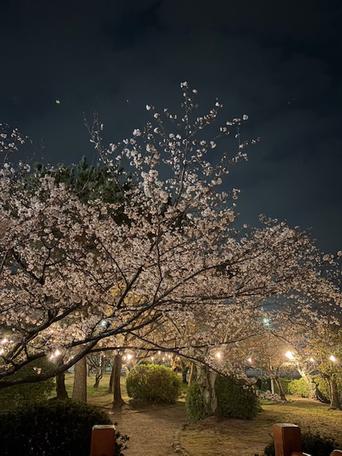 🚗点検のご案内🚗