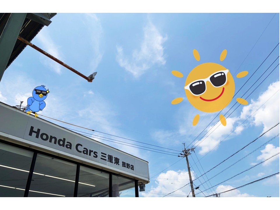 洗車日和🧼