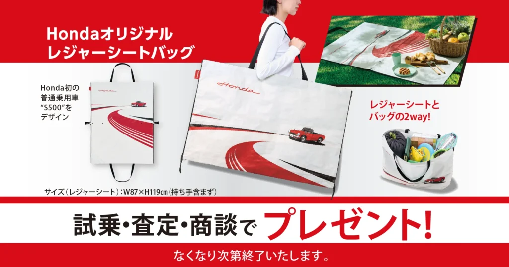 試乗・査定・商談でオリジナルレジャーシートバッグプレゼント!