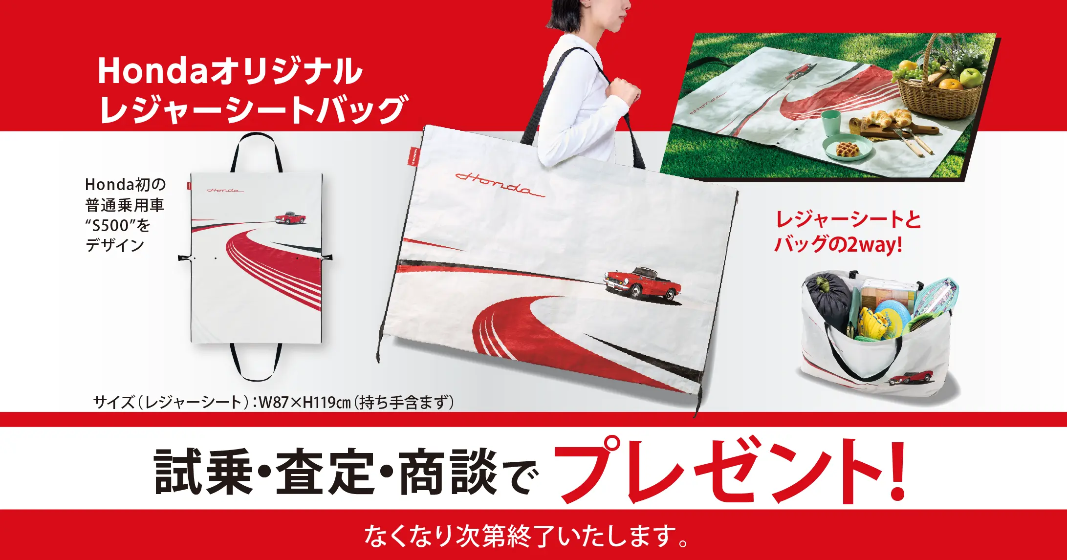 試乗・査定・商談でオリジナルレジャーシートバッグプレゼント!